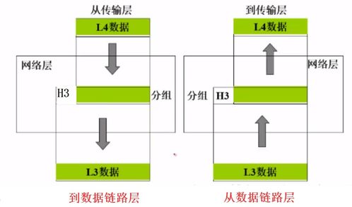 深入了解TCP/IP协议与计算机网络体系结构